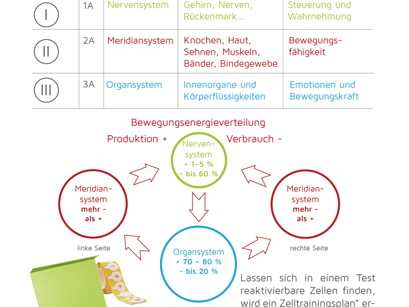 Theralogy-Herausfinden